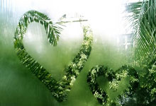 曼联转会最新目标都有谁？球队引援策略藏着哪些门道？