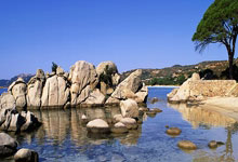 荷乙最新比分赛果有哪些看点？